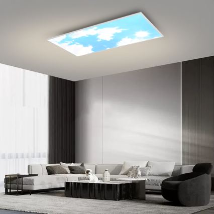 Brilagi - Dimmable LED Ceiling Light SLIMFRAME LED/80W/230V 120x60 cm 3000-6000K silver/blue + remote control