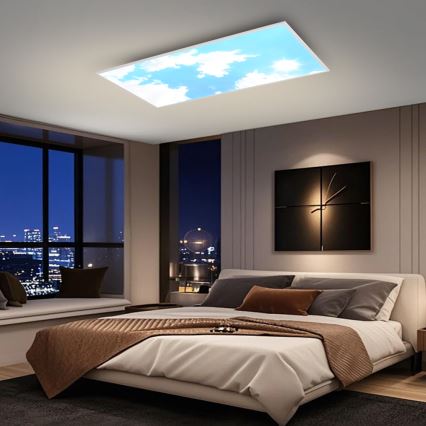 Brilagi - Dimmable LED Ceiling Light SLIMFRAME LED/80W/230V 120x60 cm 3000-6000K silver/blue + remote control