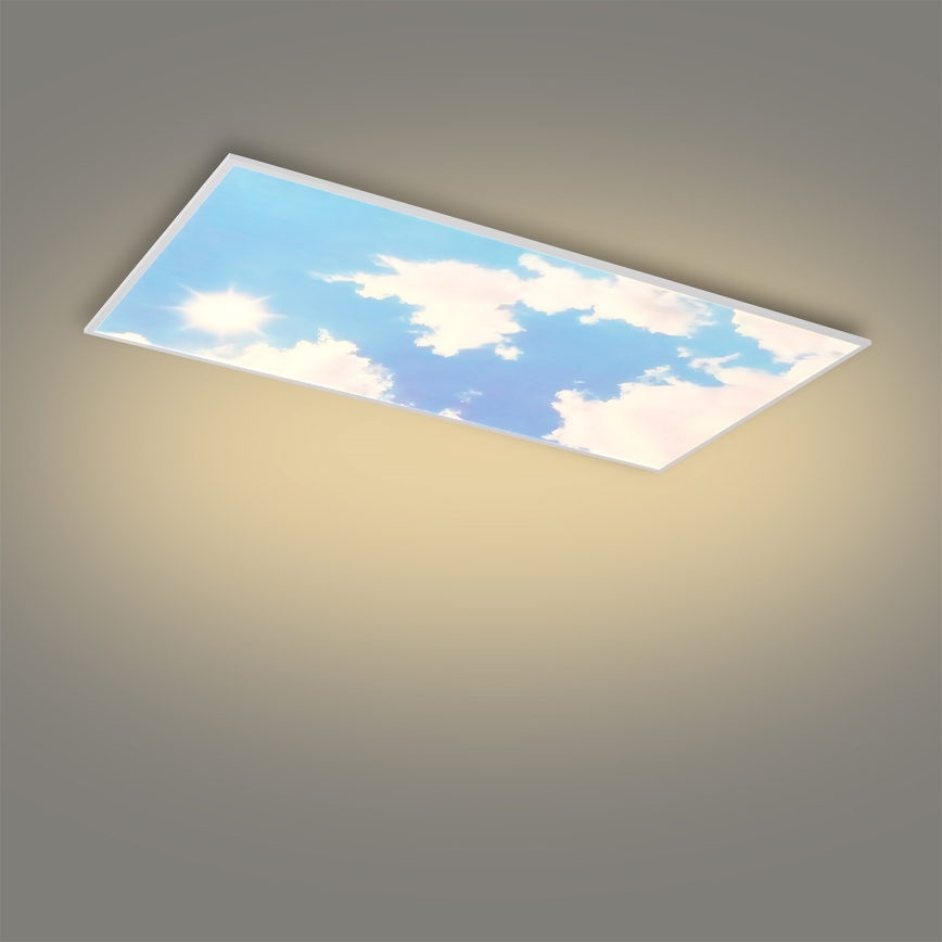 Brilagi - Dimmable LED Ceiling Light SLIMFRAME SKY LED/80W/230V 120x60 cm 3000-6000K silver/blue + remote control
