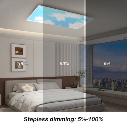 Brilagi - Dimmable LED Ceiling Light SLIMFRAME SKY LED/80W/230V 120x60 cm 3000-6000K silver/blue + remote control