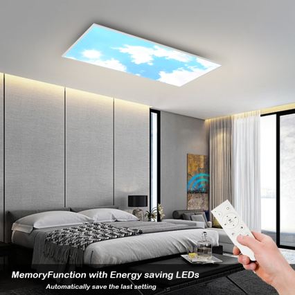 Brilagi - Dimmable LED Ceiling Light SLIMFRAME SKY LED/80W/230V 120x60 cm 3000-6000K silver/blue + remote control