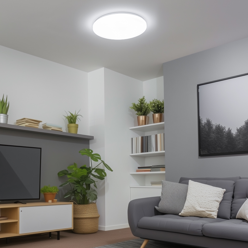 Brilagi - LED Dimmable ceiling light SMART LED/24W/230V 2700-6500K Wi-Fi Tuya + remote control