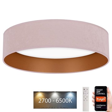 Brilagi - LED Dimmable ceiling light VELVET SMART LED/24W/230V d. 45 cm 2700-6500K Wi-Fi Tuya pink/gold + remote control