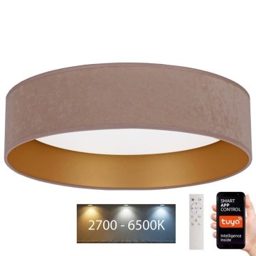 Brilagi - LED Dimmable ceiling light VELVET SMART LED/36W/230V d. 55 cm 2700-6500K Wi-Fi Tuya beige/gold + remote control