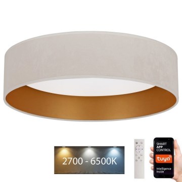 Brilagi - LED Dimmable ceiling light VELVET SMART LED/36W/230V d. 55 cm 2700-6500K Wi-Fi Tuya creamy/gold + remote control