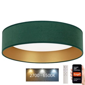 Brilagi - LED Dimmable ceiling light VELVET SMART LED/36W/230V d. 55 cm 2700-6500K Wi-Fi Tuya green/gold + remote control