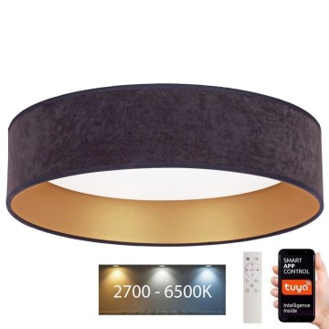 Brilagi - LED Dimmable ceiling light VELVET SMART LED/36W/230V d. 55 cm 2700-6500K Wi-Fi Tuya grey/gold + remote control