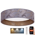 Brilagi - LED Dimmable ceiling light VELVET SMART LED/36W/230V d. 55 cm 2700-6500K Wi-Fi Tuya grey/gold + remote control