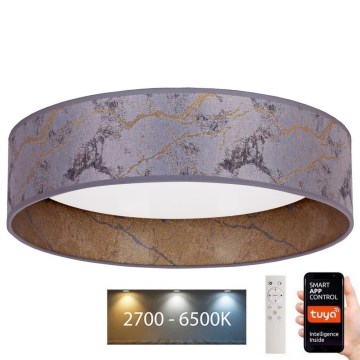 Brilagi - LED Dimmable ceiling light VELVET SMART LED/36W/230V d. 55 cm 2700-6500K Wi-Fi Tuya grey/gold + remote control