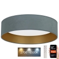 Brilagi - LED Dimmable ceiling light VELVET SMART LED/36W/230V d. 55 cm 2700-6500K Wi-Fi Tuya mint/gold + remote control