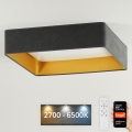 Brilagi - LED Dimmable ceiling light VELVET SQUARE SMART LED/36W/230V 2700-6500K Wi-Fi Tuya + remote control grey