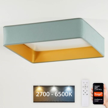 Brilagi - LED Dimmable ceiling light VELVET SQUARE SMART LED/36W/230V 2700-6500K Wi-Fi Tuya + remote control mint