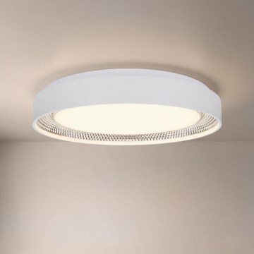 Brilagi - LED Dimmable Ceiling Light WALDO LED/48W/230V 3000-6500K Ø40 cm White/Silver + Remote Control