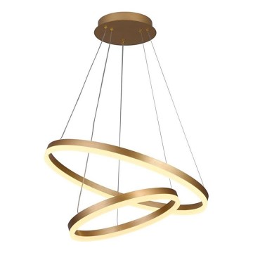 Brilagi - LED Dimmable chandelier on a string CIRCLE LED/70W/230V 3000-6500K gold + remote control