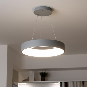 Brilagi - LED Dimmable chandelier on a string FALCON LED/40W/230V 3000-6500K d. 45 cm grey + remote control