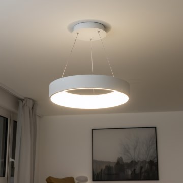 Brilagi - LED Dimmable chandelier on a string FALCON LED/40W/230V 3000-6500K d. 45 cm white + remote control