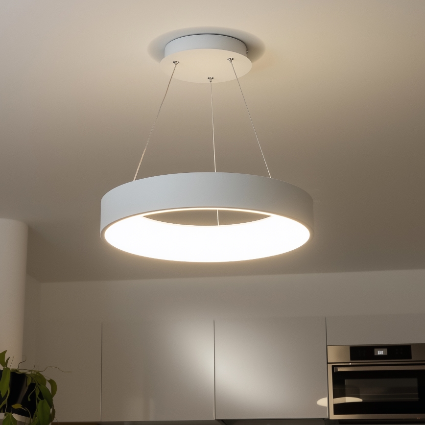 Brilagi - LED Dimmable chandelier on a string FALCON LED/80W/230V 3000-6500K d. 60 cm white + remote control