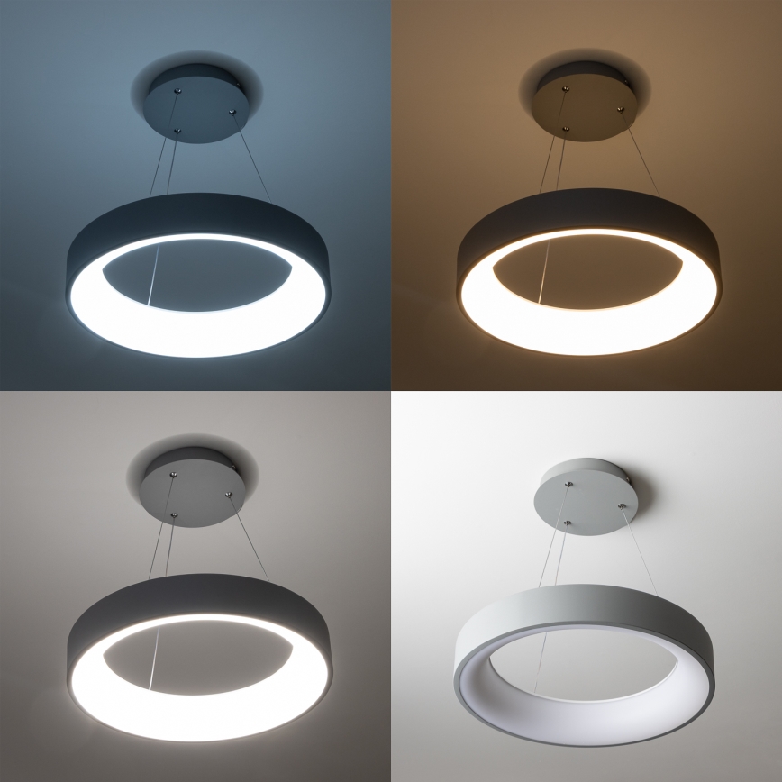 Brilagi - LED Dimmable chandelier on a string FALCON LED/40W/230V 3000-6500K d. 45 cm grey + remote control