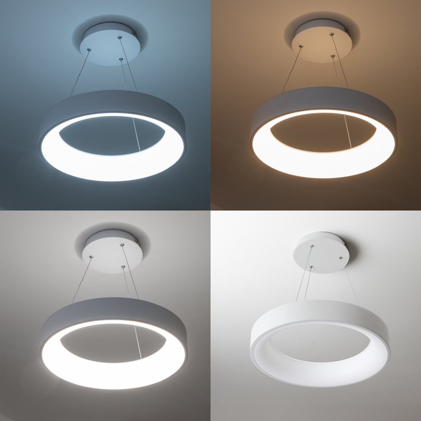 Brilagi - LED Dimmable chandelier on a string FALCON LED/40W/230V 3000-6500K d. 45 cm white + remote control
