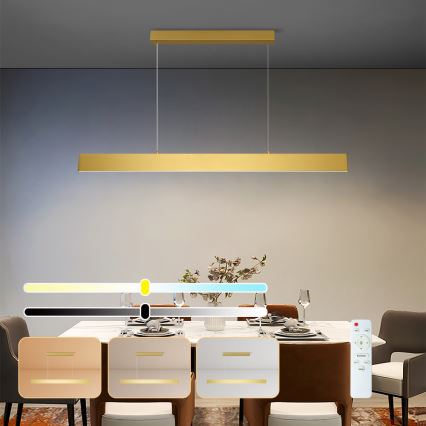 Brilagi - LED Dimmable chandelier on a string SLIMLINE LED/40W/230V 3000-6000K gold + remote control