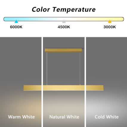 Brilagi - LED Dimmable chandelier on a string SLIMLINE LED/40W/230V 3000-6000K gold + remote control