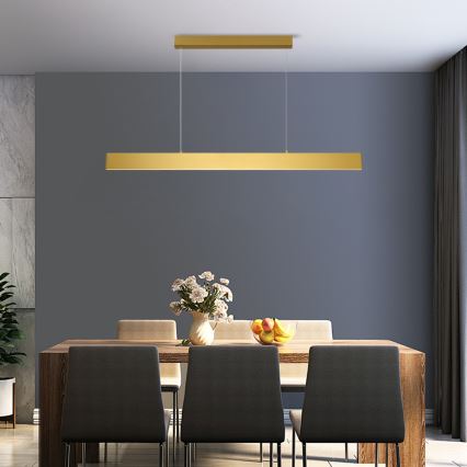 Brilagi - LED Dimmable chandelier on a string SLIMLINE LED/40W/230V 3000-6000K gold + remote control