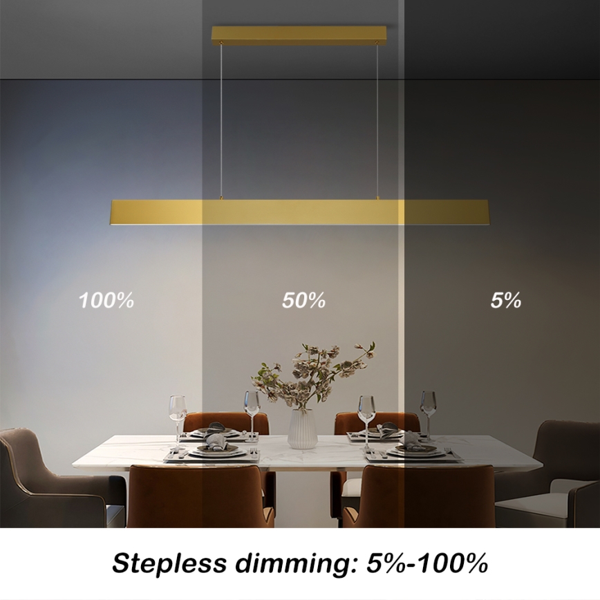 Brilagi - LED Dimmable chandelier on a string SLIMLINE LED/40W/230V 3000-6000K gold + remote control