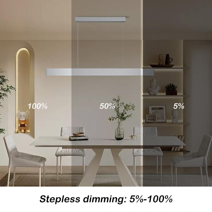 Brilagi - LED Dimmable chandelier on a string SLIMLINE LED/40W/230V 3000-6000K silver + remote control