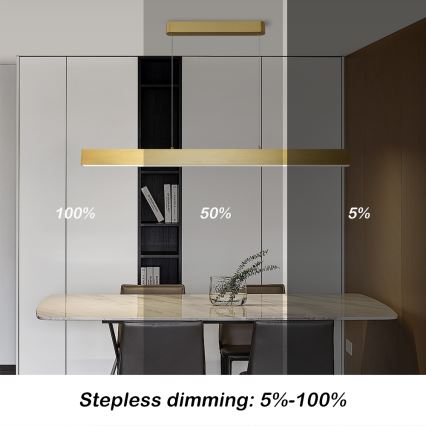 Brilagi - LED Dimmable chandelier on a string SLEEKLINE SMART LED/40W/230V 3000-6000K Wi-Fi Tuya gold + remote control