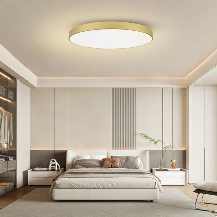 Brilagi - POOL SMART Dimmable LED Ceiling Light, 180W, 230V, 3000-6000K, 120 cm, Gold, Tuya Wi-Fi + Remote Control