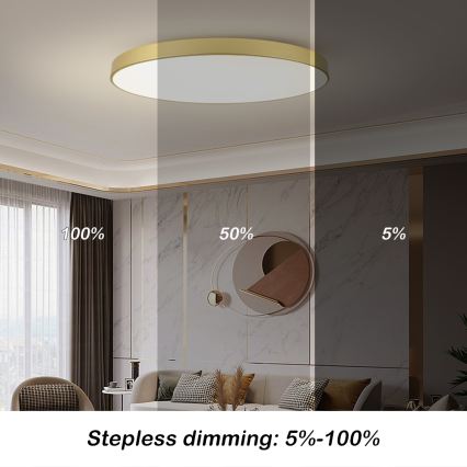 Brilagi - POOL SMART Dimmable LED Ceiling Light, 180W, 230V, 3000-6000K, 120 cm, Gold, Tuya Wi-Fi + Remote Control