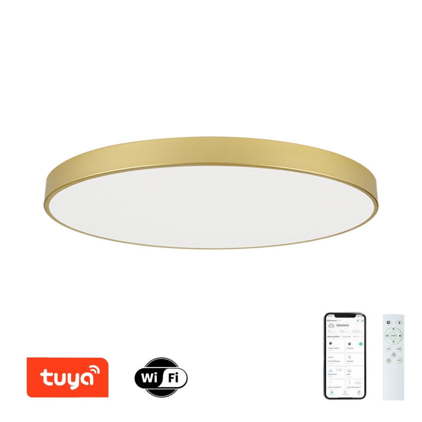 Brilagi - POOL SMART Dimmable LED Ceiling Light, 180W, 230V, 3000-6000K, 120 cm, Gold, Tuya Wi-Fi + Remote Control