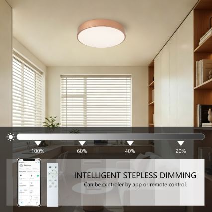 BRILAGI - POOL SMART Dimmable LED Ceiling Light, 48W/230V, 3000-6000K, Ø 40 cm, Tuya Wi-Fi, Bronze + Remote Control