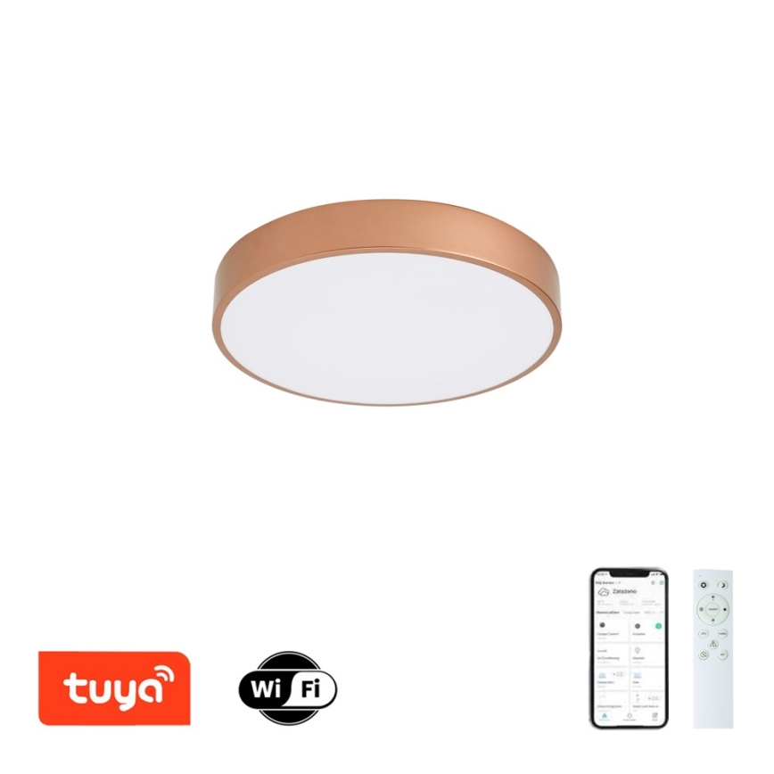BRILAGI - POOL SMART Dimmable LED Ceiling Light, 48W/230V, 3000-6000K, Ø 40 cm, Tuya Wi-Fi, Bronze + Remote Control
