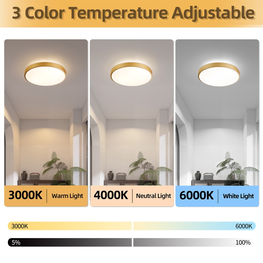 Brilagi - Dimmable LED Ceiling Light GLASS POOL DOUBLE LED/48W/230V 3000-6000K 40 cm Gold + Remote Control