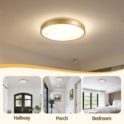 Brilagi - Dimmable LED Ceiling Light GLASS POOL DOUBLE LED/48W/230V 3000-6000K 40 cm Gold + Remote Control