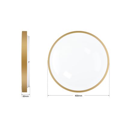 Brilagi - Dimmable LED Ceiling Light GLASS POOL DOUBLE LED/48W/230V 3000-6000K 40 cm Gold + Remote Control