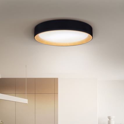 Brilagi - LED Dimmable ceiling light LARIOS LED/48W/230V 3000-6500K ø 39 cm black + remote control