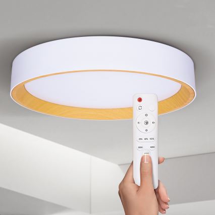 Brilagi - LED Dimmable ceiling light LARIOS LED/48W/230V 3000-6500K ø 39 cm white + remote control