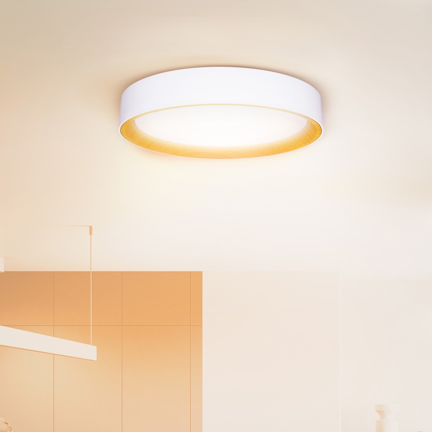Brilagi - LED Dimmable ceiling light LARIOS LED/48W/230V 3000-6500K ø 39 cm white + remote control