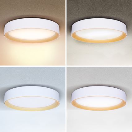 Brilagi - LED Dimmable ceiling light LARIOS LED/60W/230V 3000-6500K ø 49 cm white + remote control