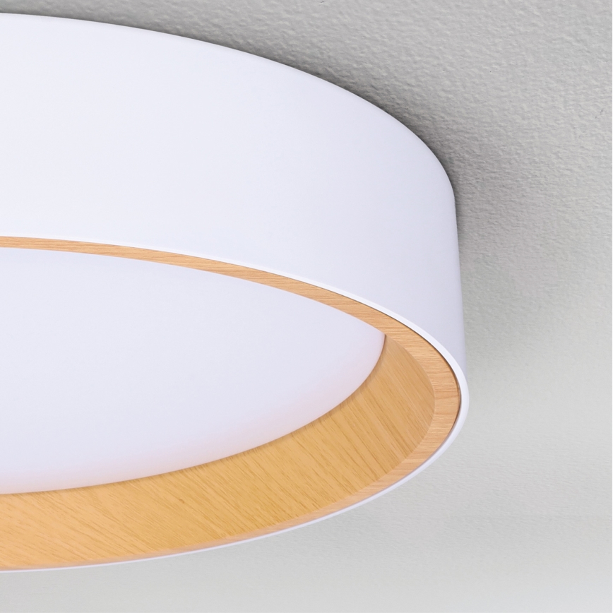 Brilagi - LED Dimmable ceiling light LARIOS LED/60W/230V 3000-6500K ø 49 cm white + remote control
