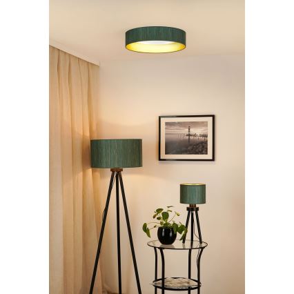 Brilagi - LED Dimmable ceiling light VEGAS SHINE LED/24W/230V 3000/4000/6500K straw green/gold + remote control