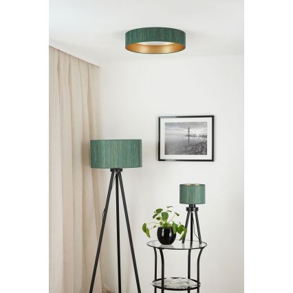 Brilagi - LED Dimmable ceiling light VEGAS SHINE LED/24W/230V 3000/4000/6500K straw green/gold + remote control