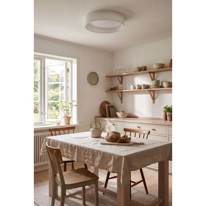 BRILAGI - VELVET SMART VARI Dimmable LED Ceiling Light, 36W/230V, 3000-6500K, 55 cm diameter, White + Remote Control