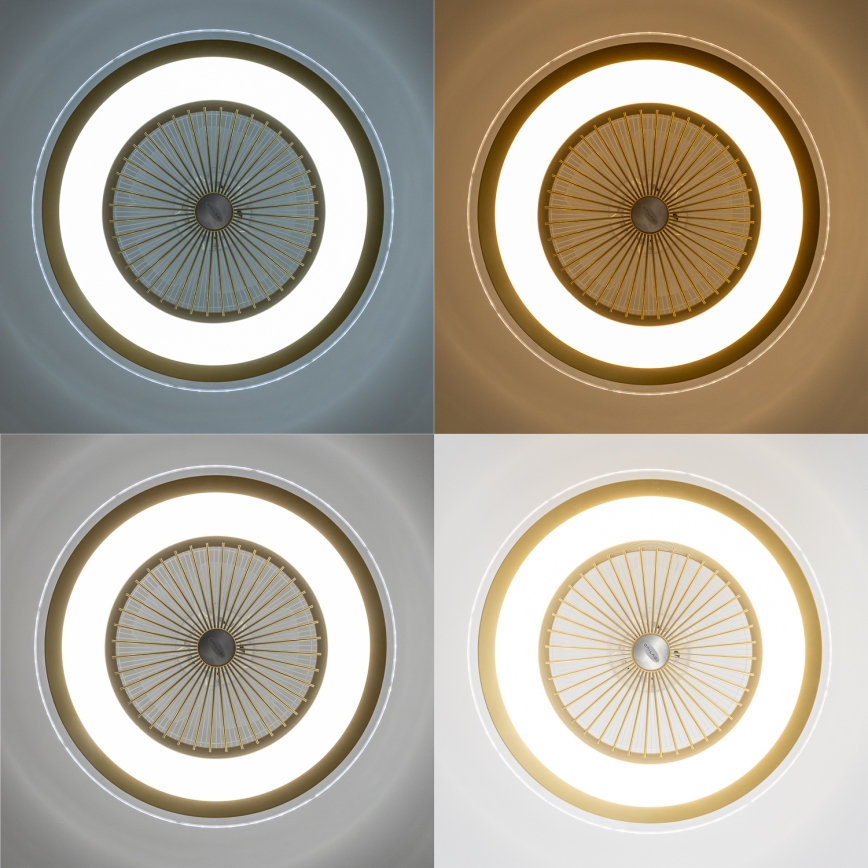 Brilagi - LED Dimmable light with a fan RONDA LED/48W/230V 3000-6000K gold + remote control