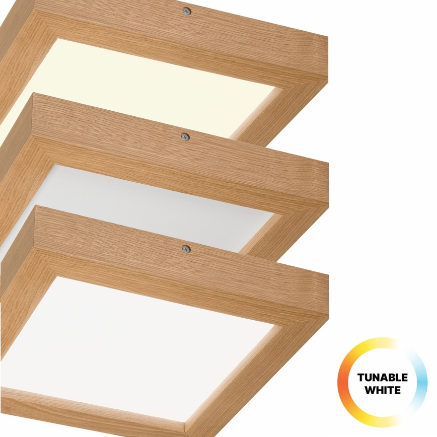 Brilagi - LED Dimmable bathroom ceiling light WOODY FRAME LED/24W/230V oak 30x30 cm 3000-6000K IP44 + remote control