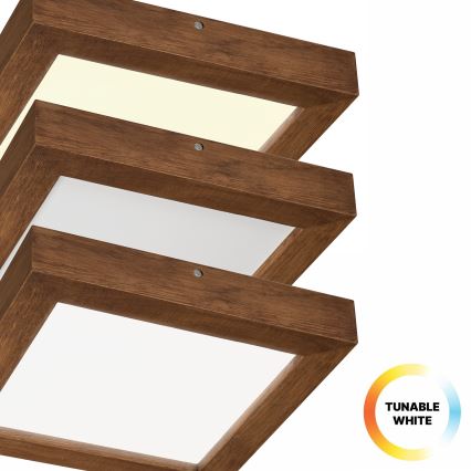 Brilagi - LED Dimmable bathroom ceiling light WOODY FRAME LED/24W/230V oak cherry 30x30 cm 3000-6000K IP44 + remote control
