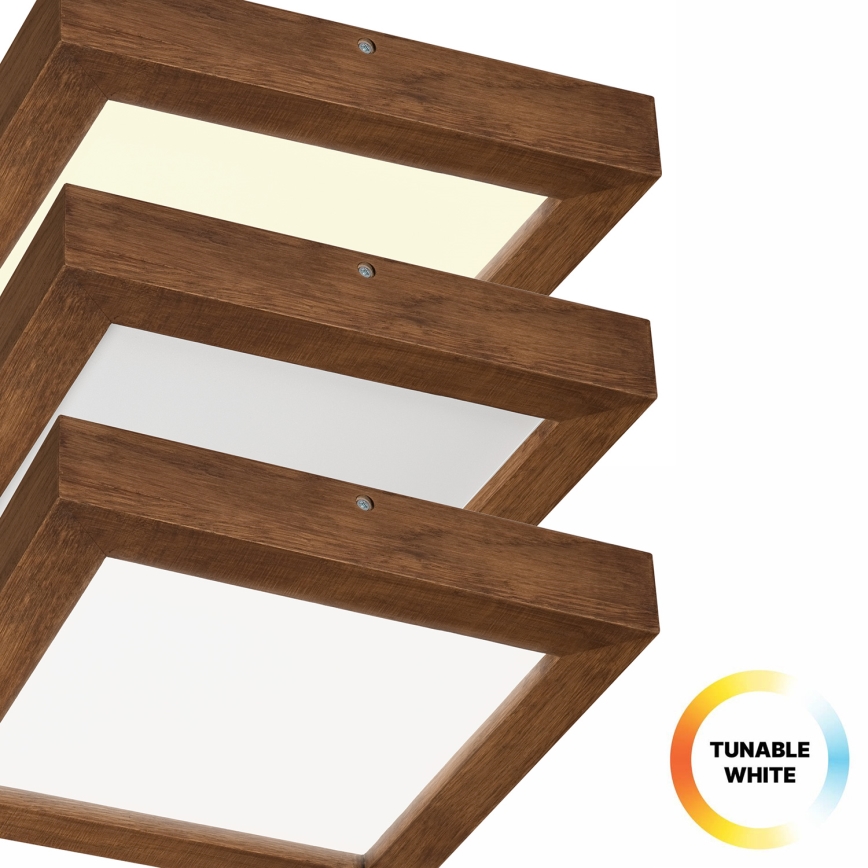 Brilagi - LED Dimmable bathroom ceiling light WOODY FRAME LED/24W/230V oak cherry 30x30 cm 3000-6000K IP44 + remote control