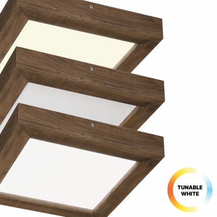 Brilagi - LED Dimmable bathroom ceiling light WOODY FRAME LED/24W/230V oak walnut 30x30 cm 3000-6000K IP44 + remote control